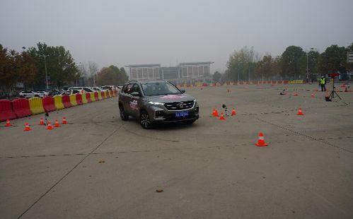 汽车绕桩的距离多少